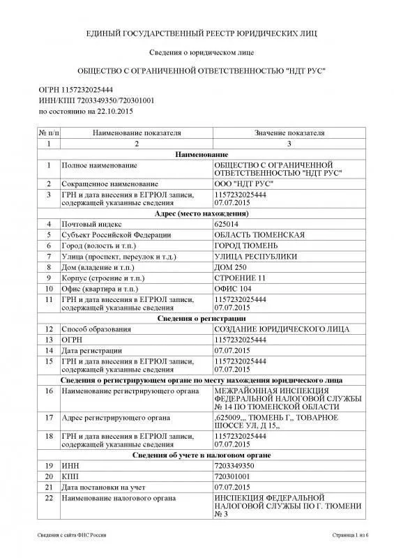 Выписка из ЕГРЮЛ ООО "НДТ Рус"